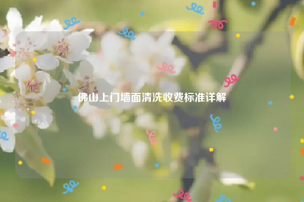 佛山上門墻面清洗收費(fèi)標(biāo)準(zhǔn)詳解